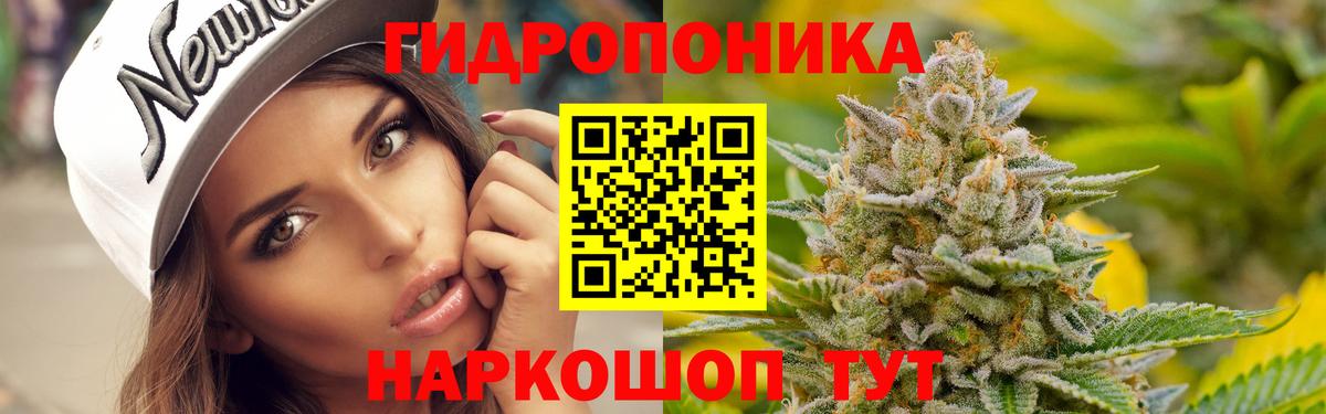 Бошки Шишки AK-47  Каннабис MAZAR  МАРИХУАНА семена  Вход с VPN  Морозовск  Марихуана план 